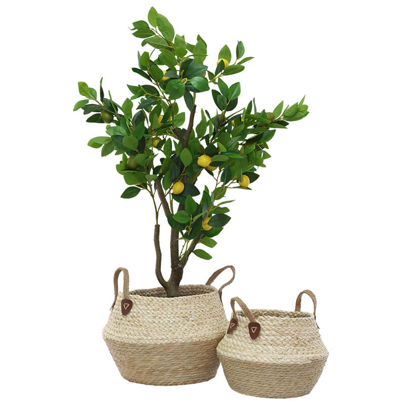 Elan Handwoven Decorative Basket